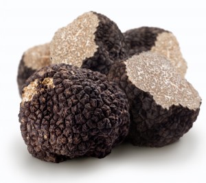 Tartufo nero estivo