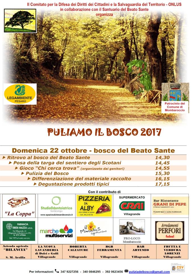 PULIAMO IL BOSCO