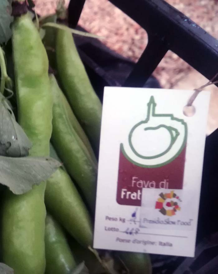 APRIAMO LA NOSTRA ESTATE FESTEGGIANDO IL PRIMO PRESIDIO SLOW FOOD: LA FAVETTA DI FRATTE ROSA